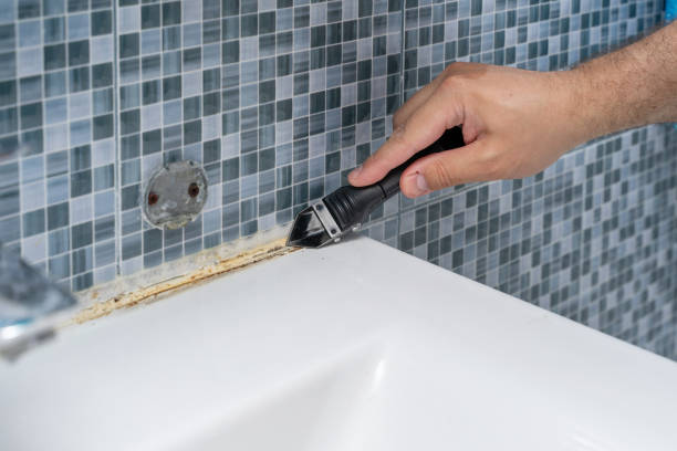 Best Local Mold Removal Service  in Castleton On Hudson, NY